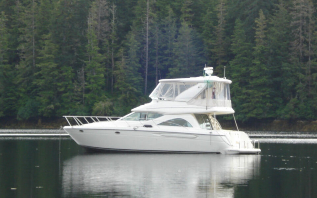 46' Maxum