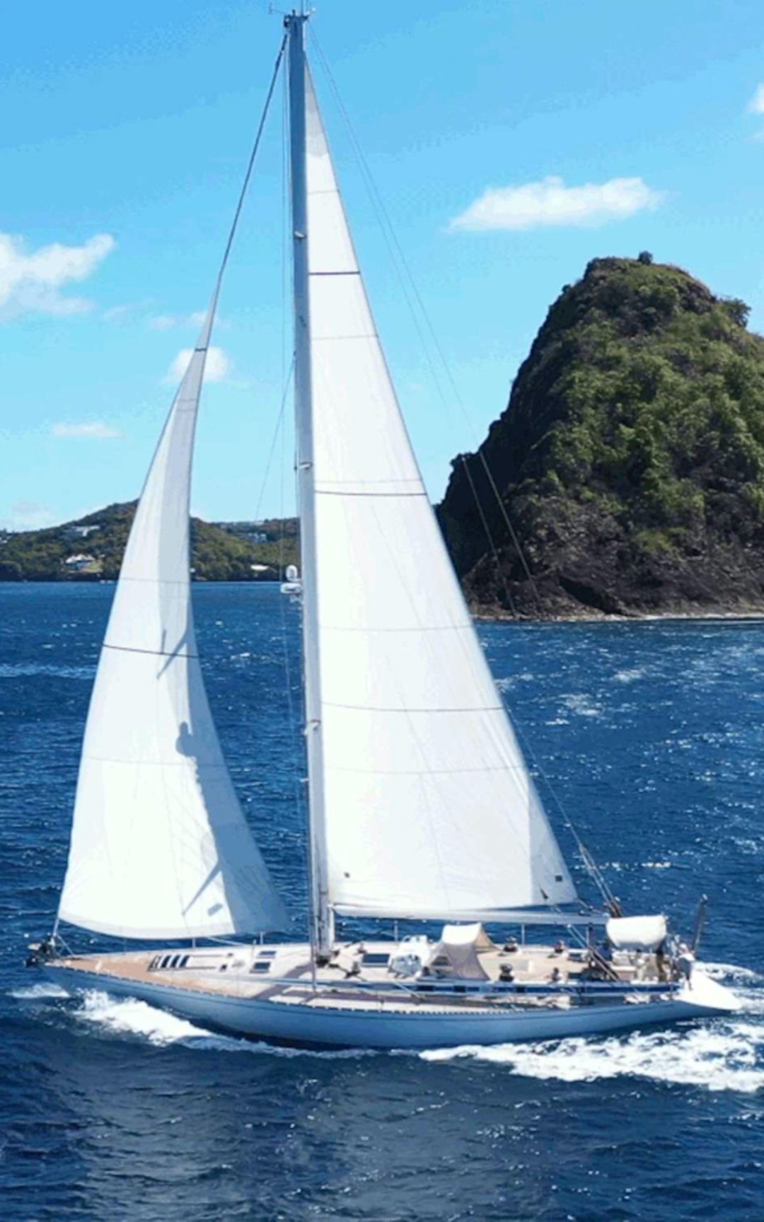 65' Swan