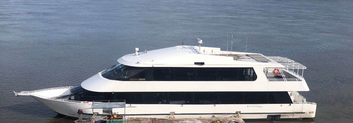100ft Starship