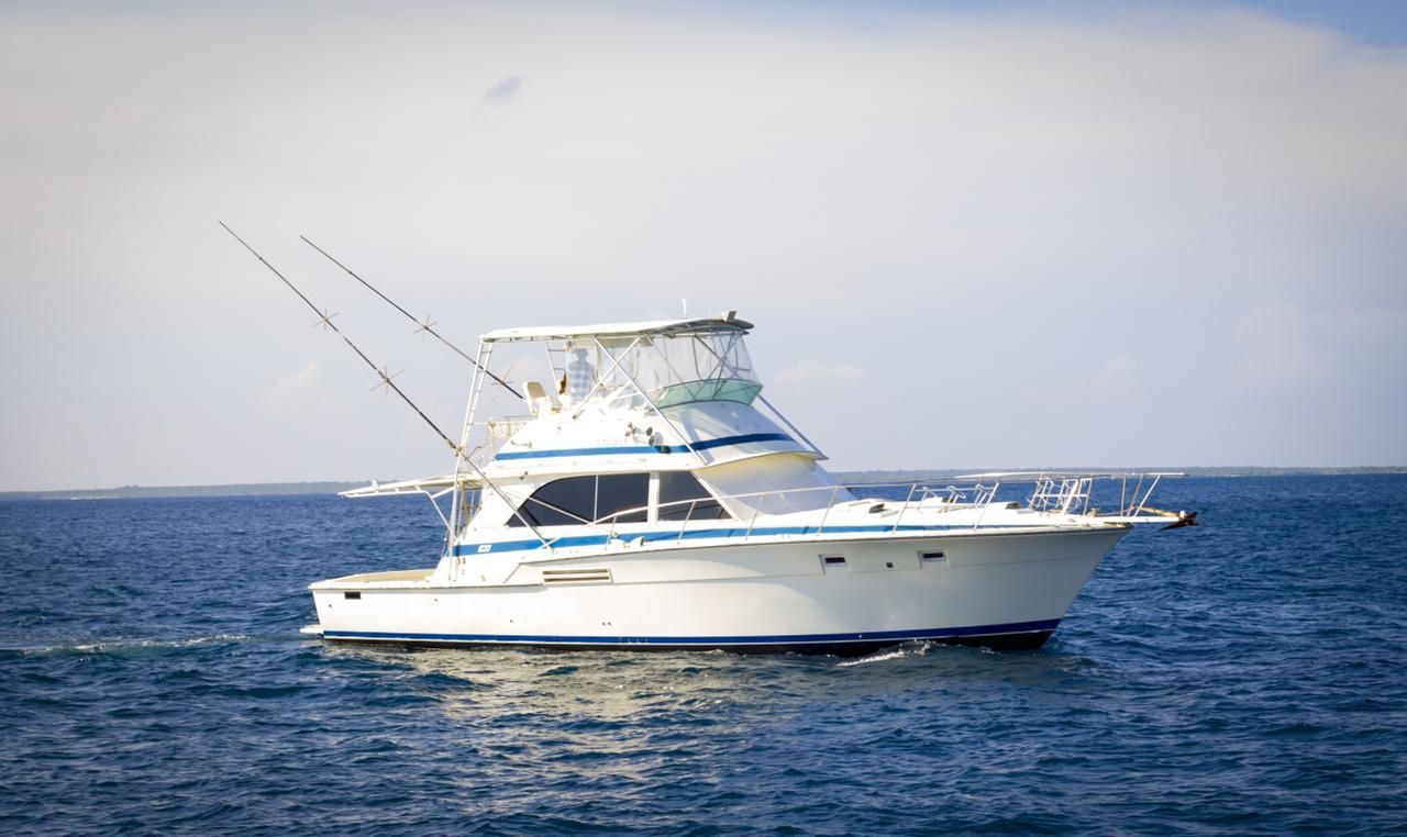 46ft Bertram