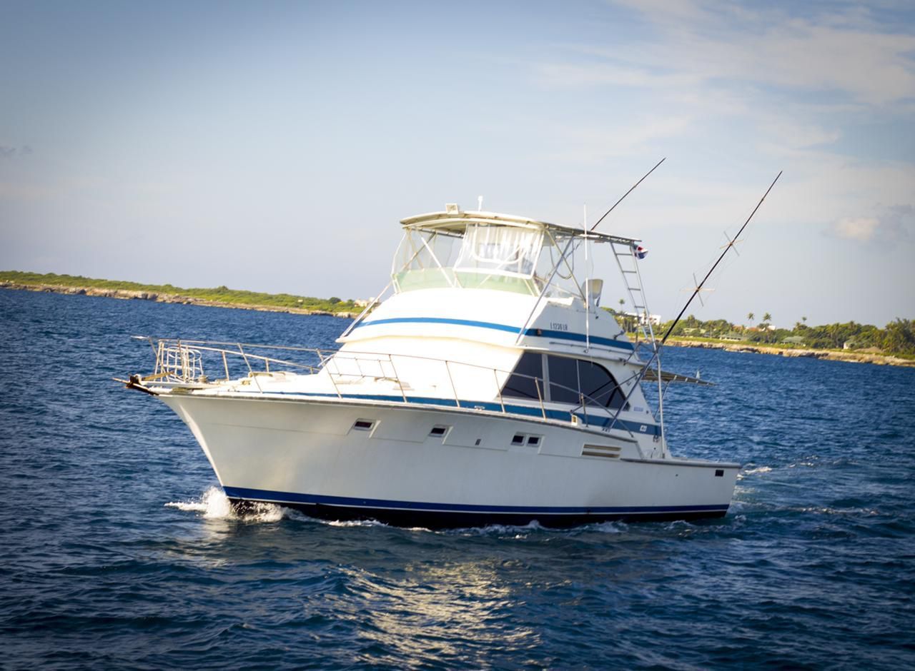 46ft Bertram