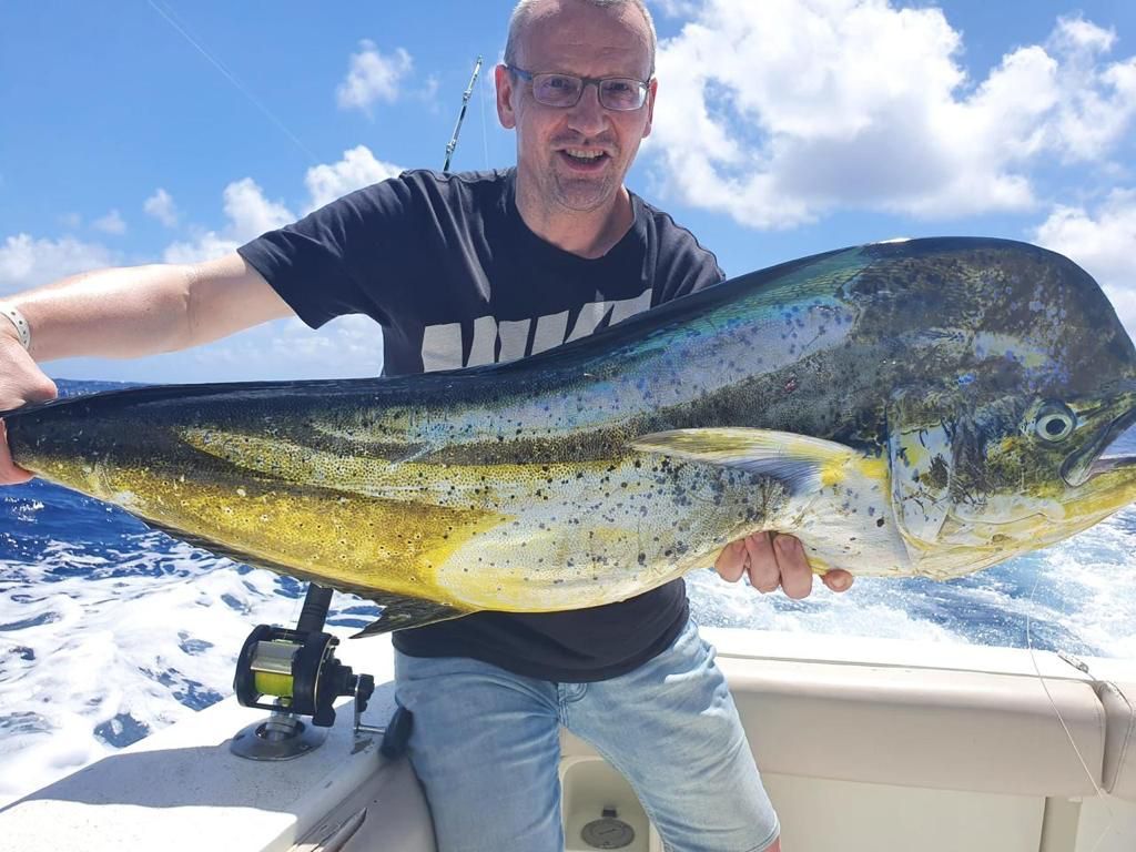 46ft Bertram