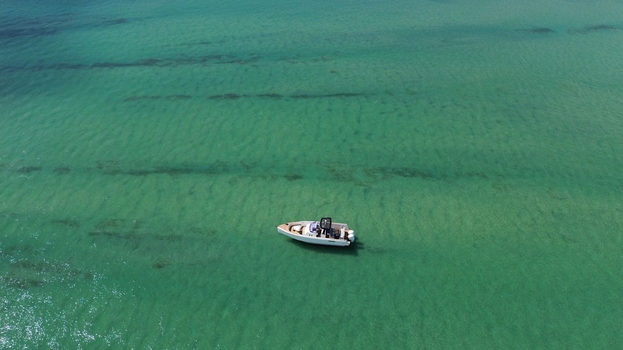 36ft Fjord