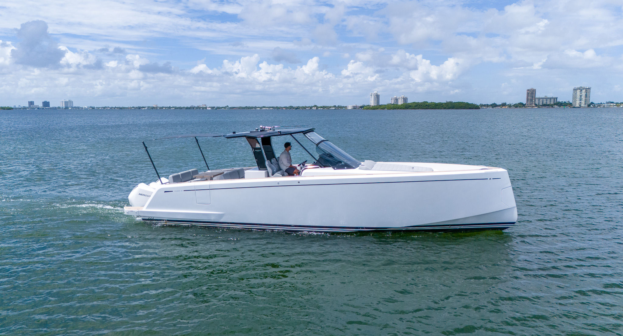 38ft Pardo