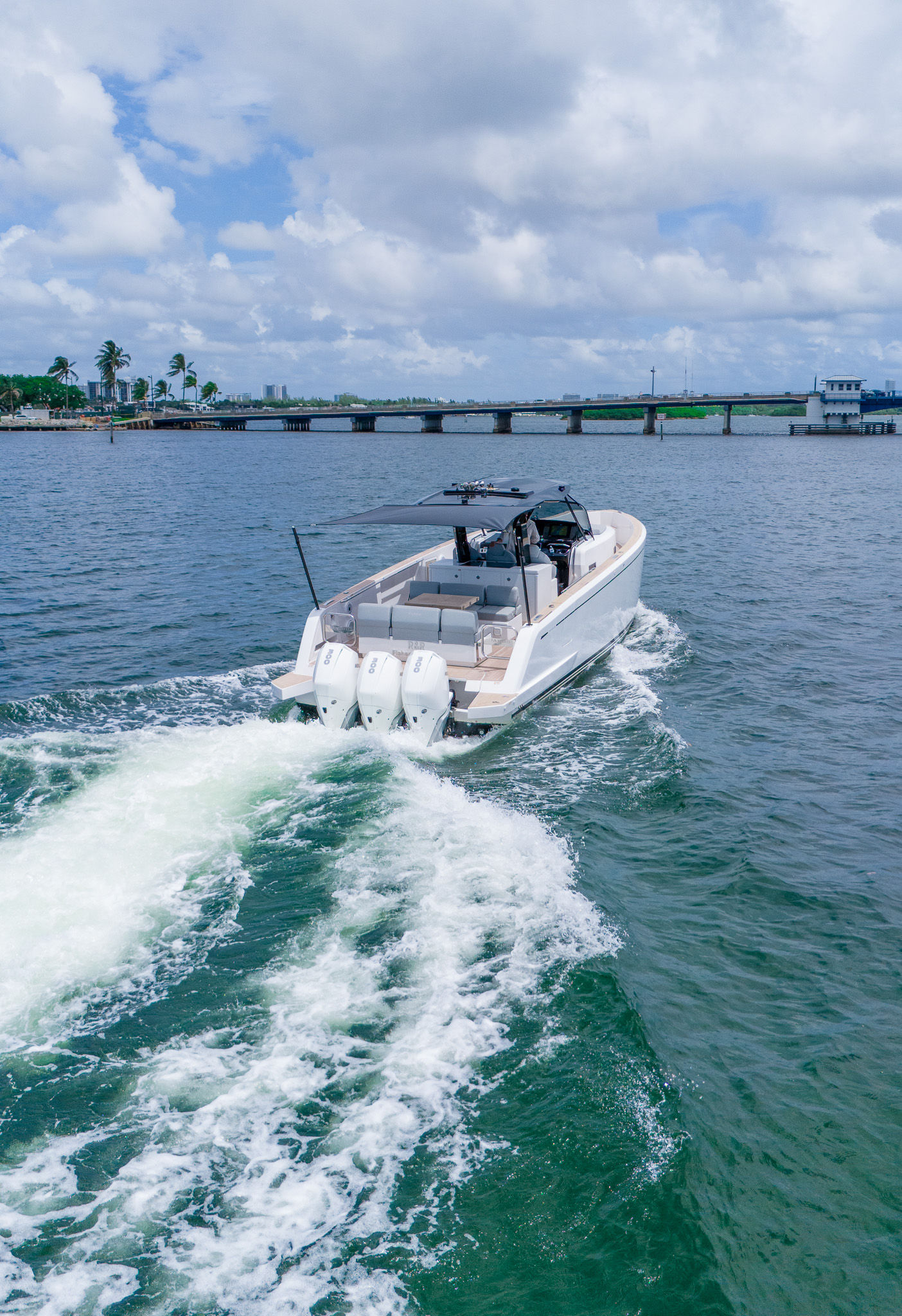 38ft Pardo