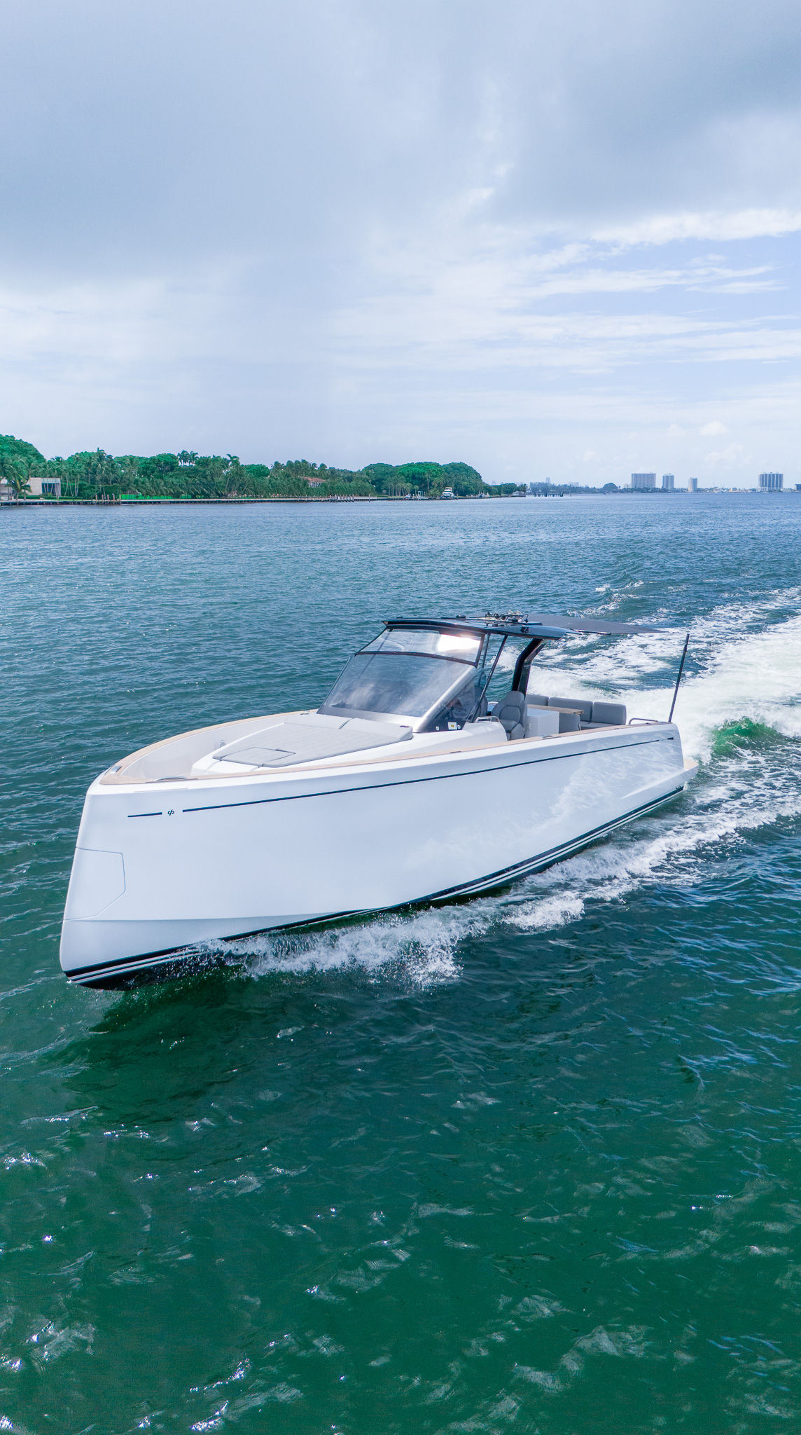38ft Pardo