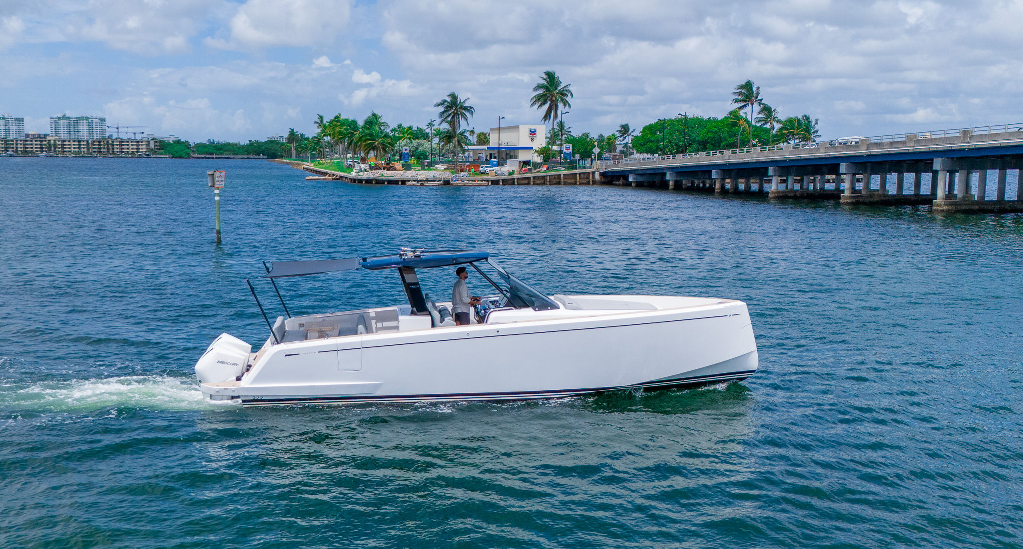 38ft Pardo