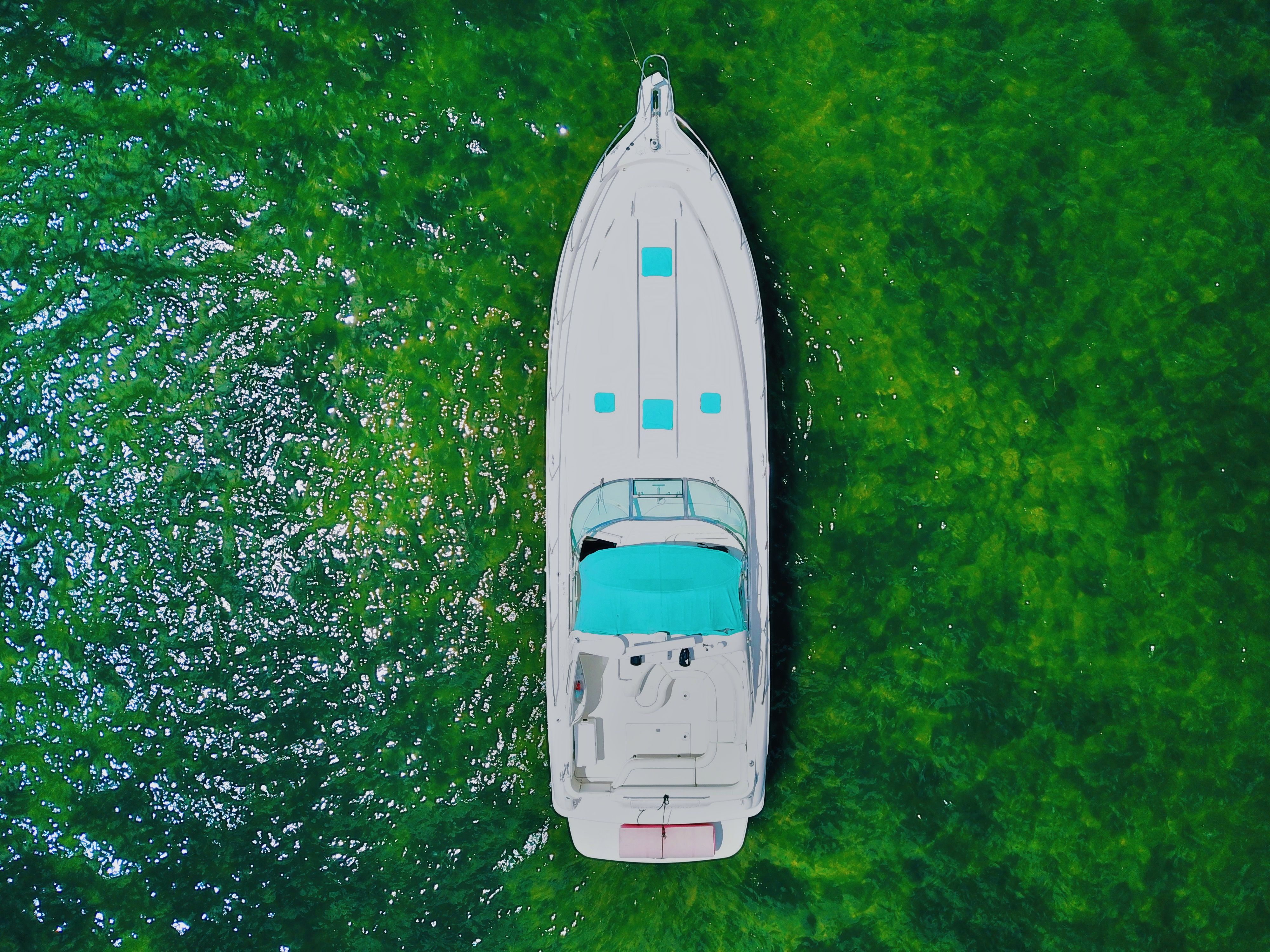 50ft Sea Ray Sundancer