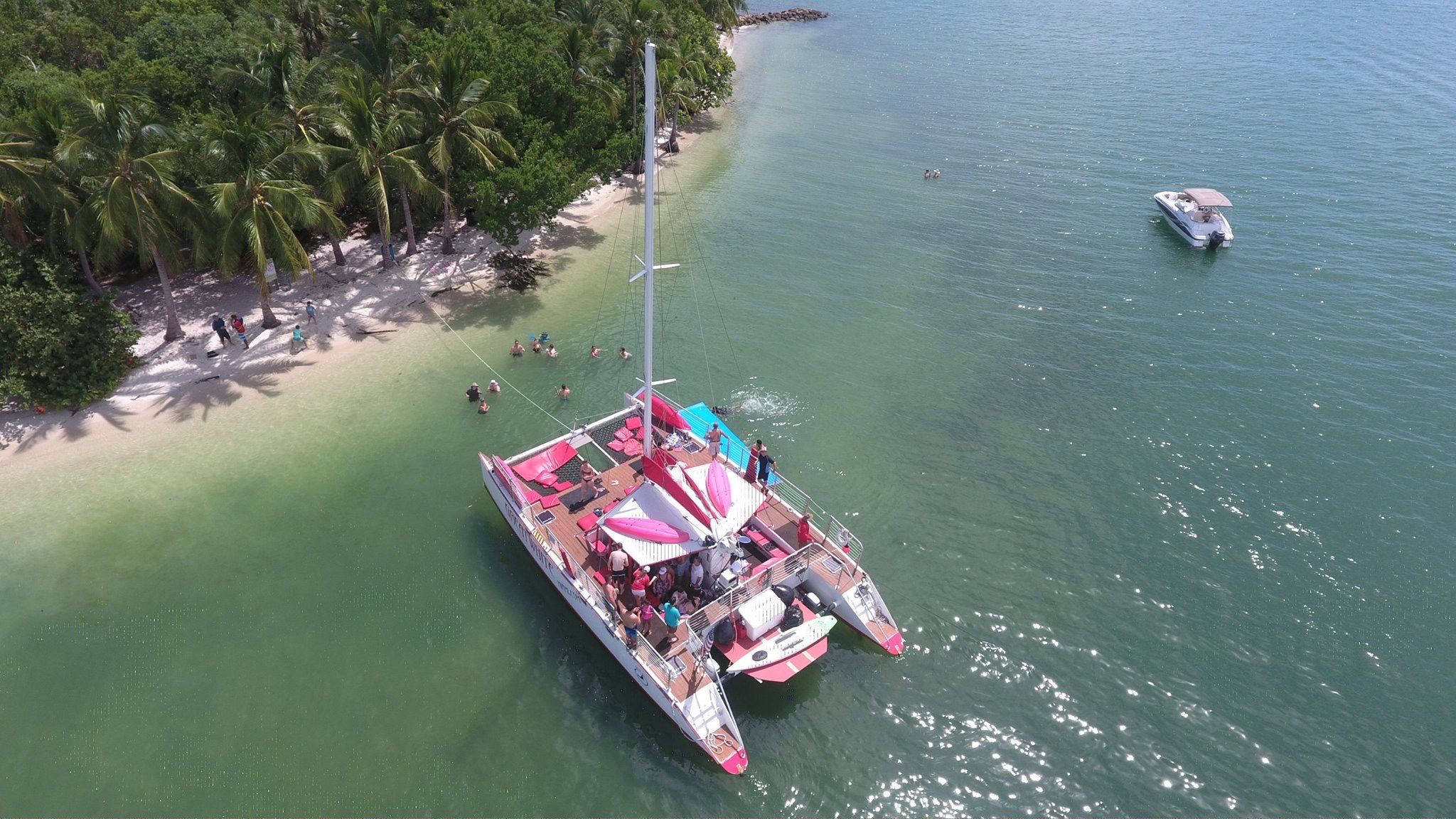 50ft Catamaran “Great White”