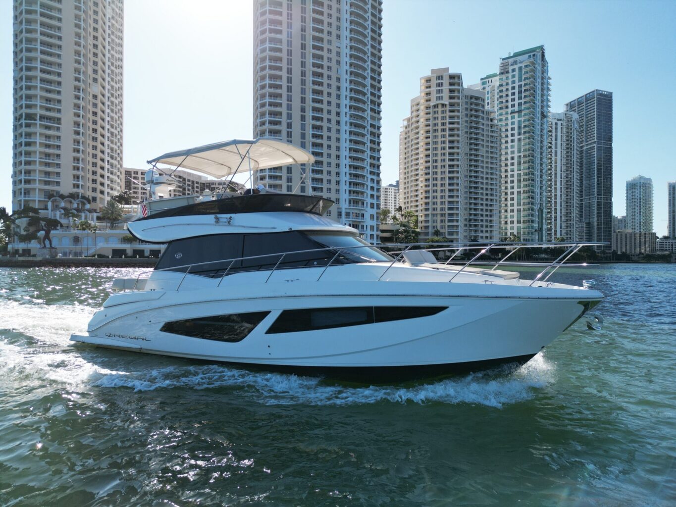 43' Regal + Water Toys