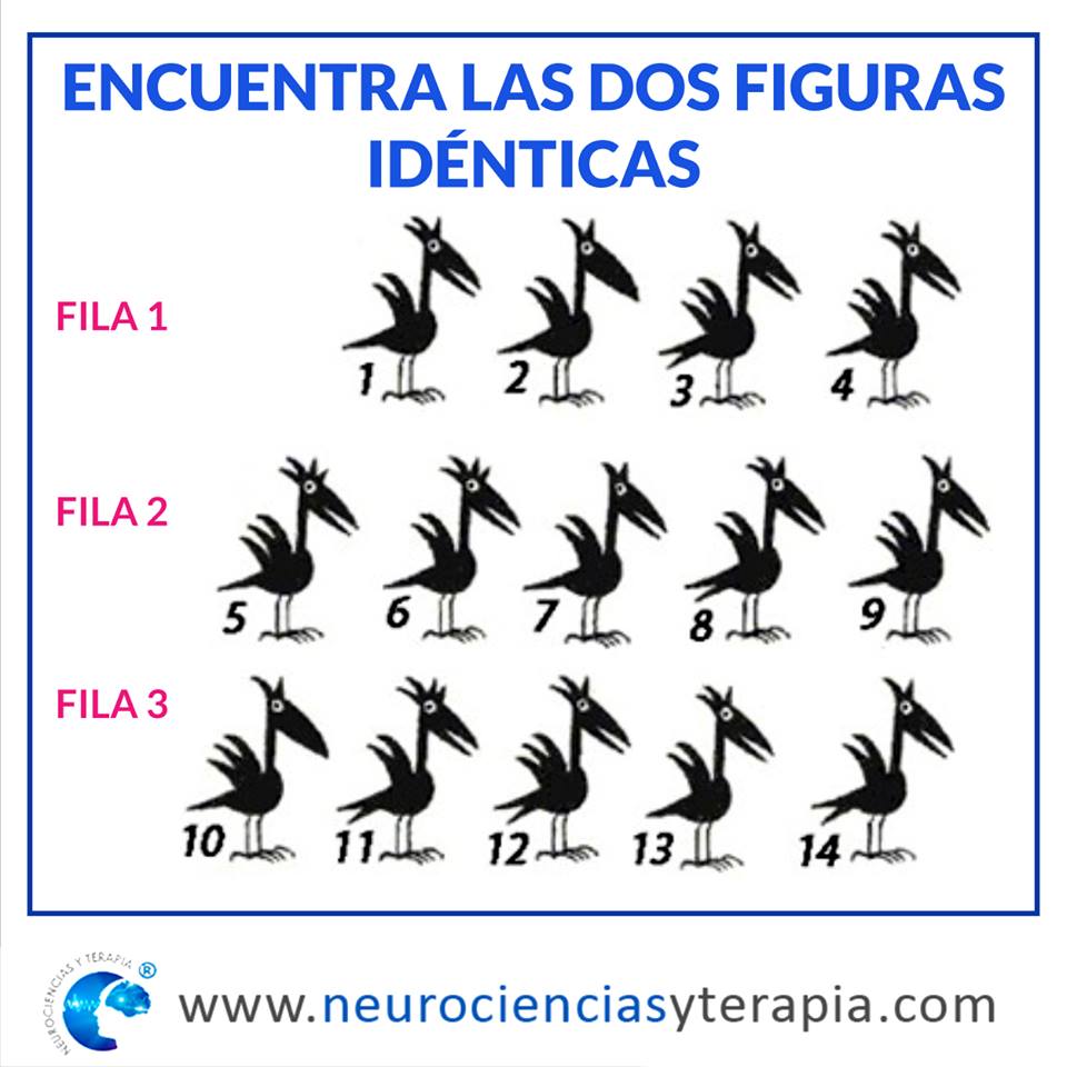 Encuentra las dos aves idénticas de la serie
